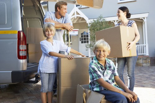 Organized storage space showing household and seasonal items